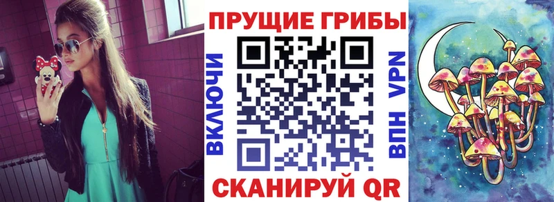 Галлюциногенные грибы Cubensis  Купить где  Кызыл 